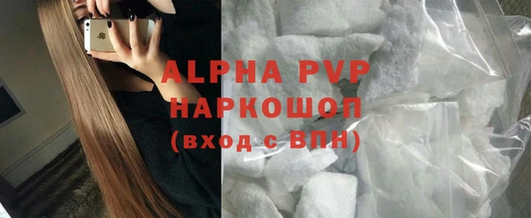 гидра Абаза