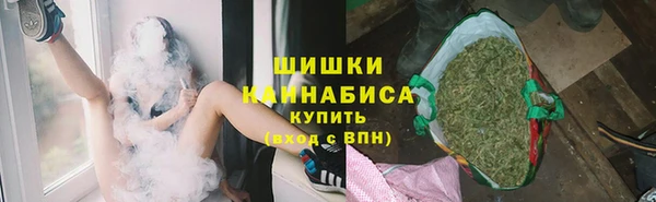 гашик Болохово