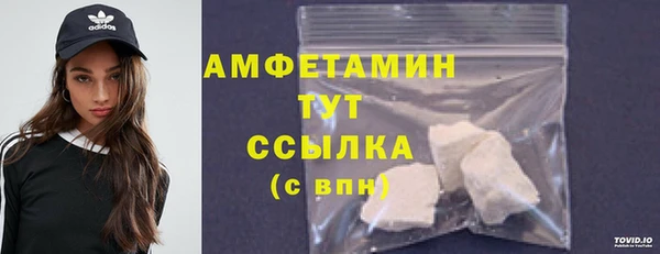 гидра Абаза