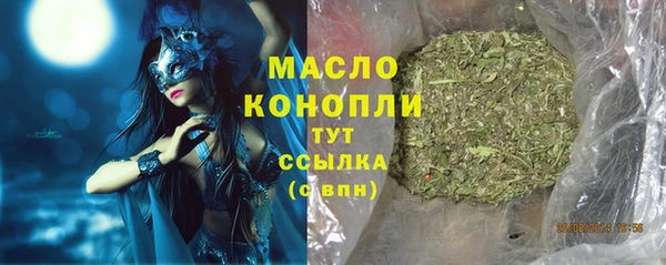 гидра Абаза