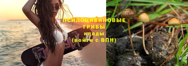 спайс Абинск