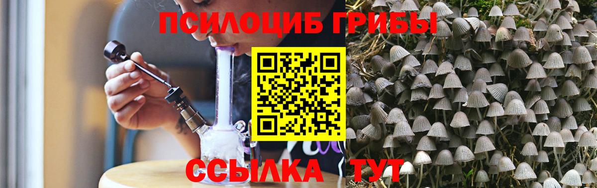 Клинцы  Галлюциногенные грибы Cubensis  Вход с VPN  Галлюциногенные грибы прущие грибы 